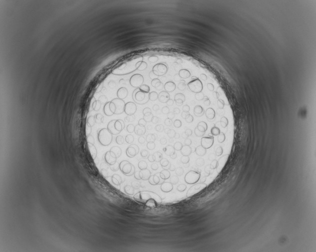 X0000116881021201002021144