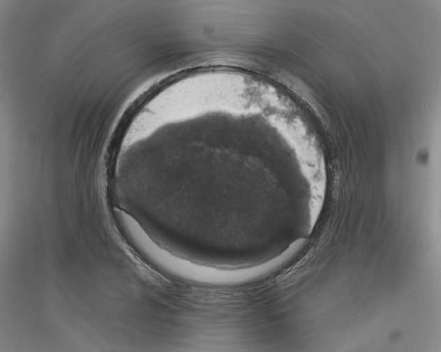 X0000116881024201002021144