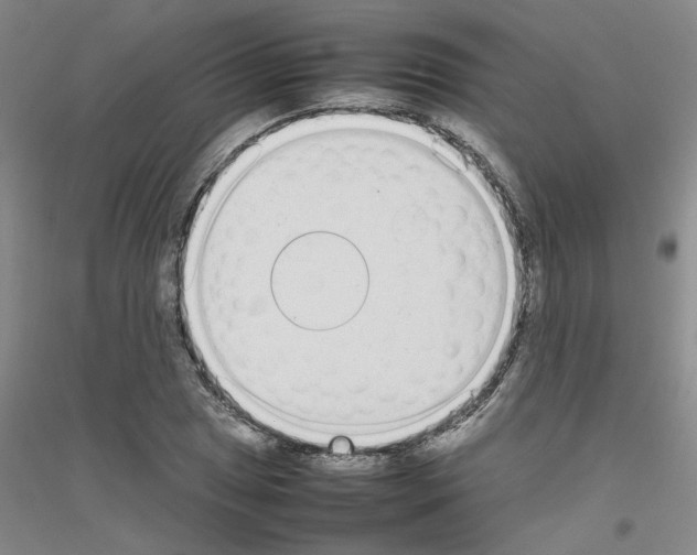 X0000116881025201002021144