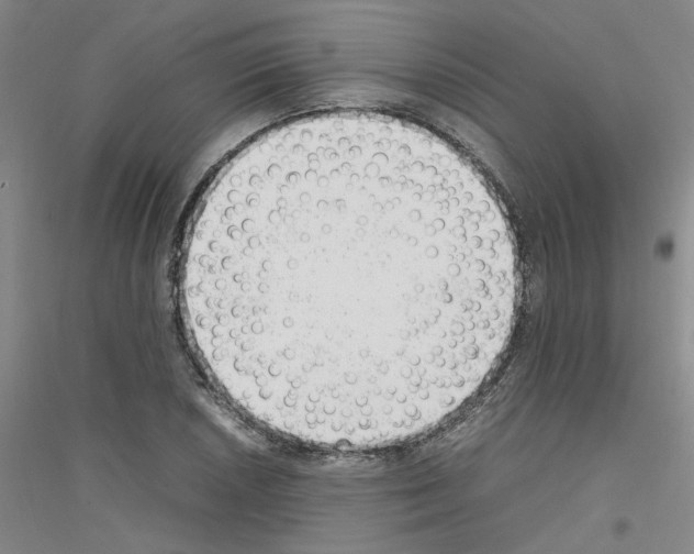 X0000116881026201002021144