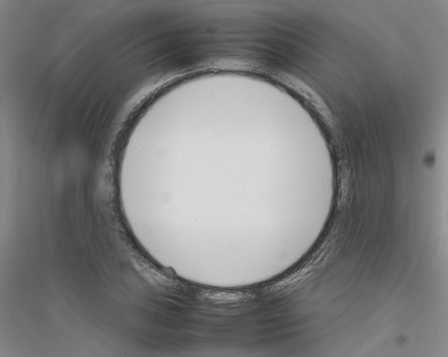 X0000116881027201002021144