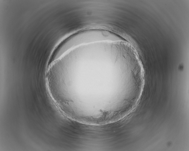 X0000116881028201002021144