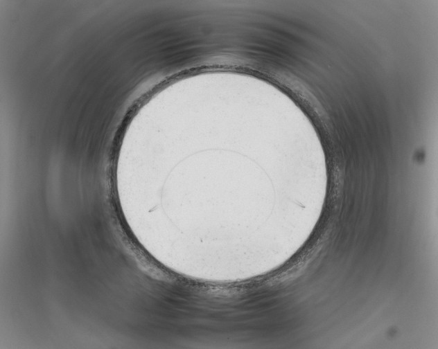 X0000116881029201002021144