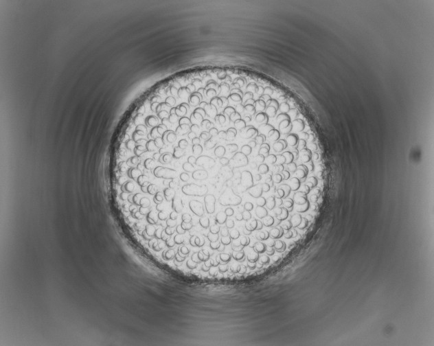 X0000116881030201002021144