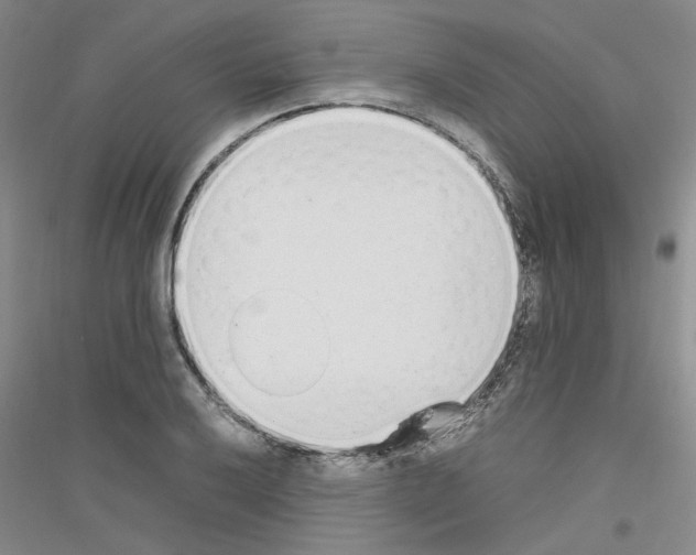 X0000116881032201002021144