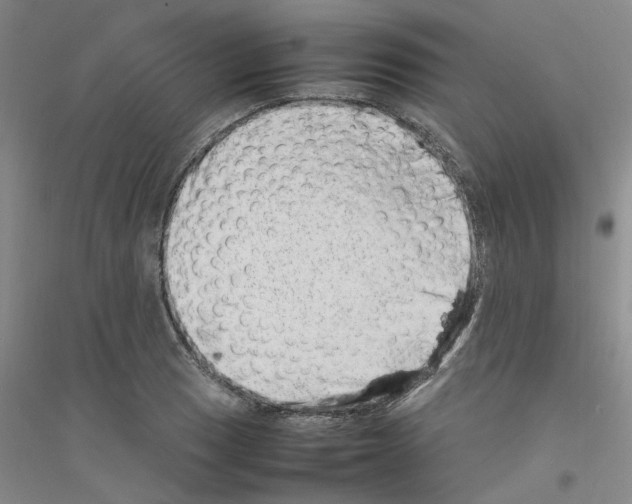 X0000116881033201002021144