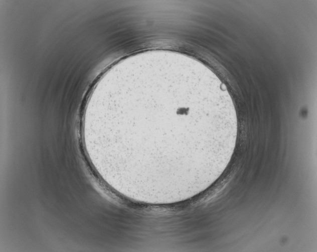 X0000116881034201002021144