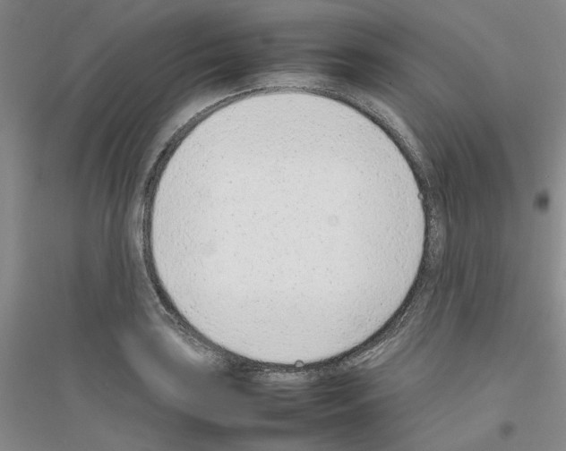 X0000116881035201002021144