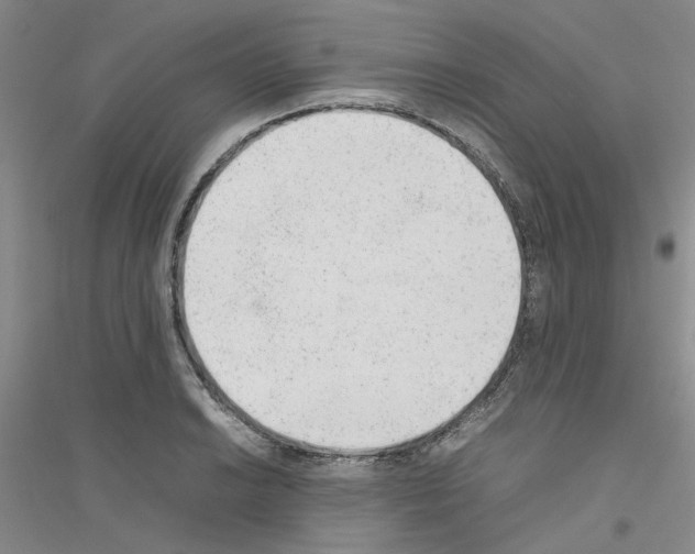X0000116881038201002021144