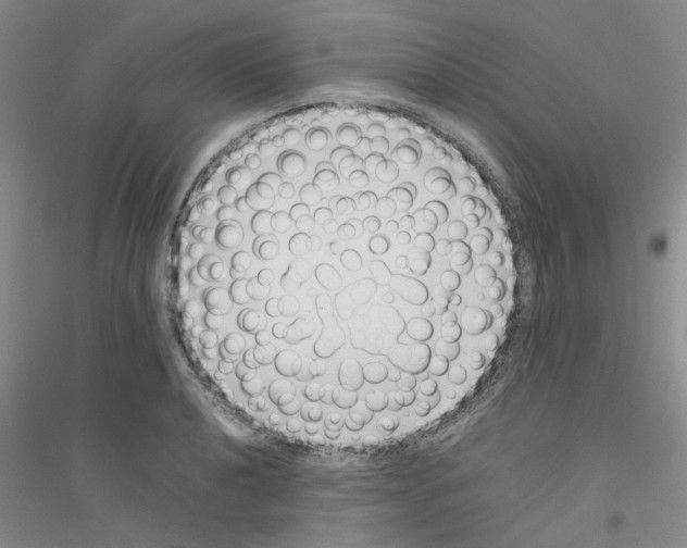 X0000116881040201002021144