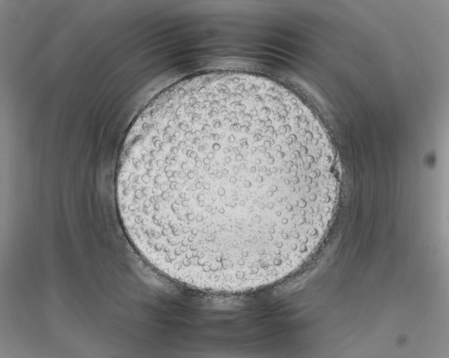 X0000116881041201002021144
