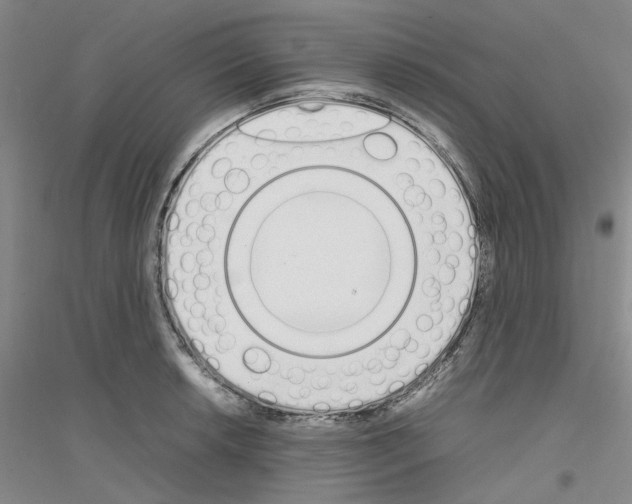X0000116881042201002021144