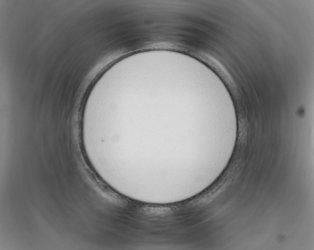 X0000116881043201002021144