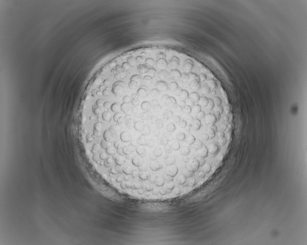 X0000116881044201002021144