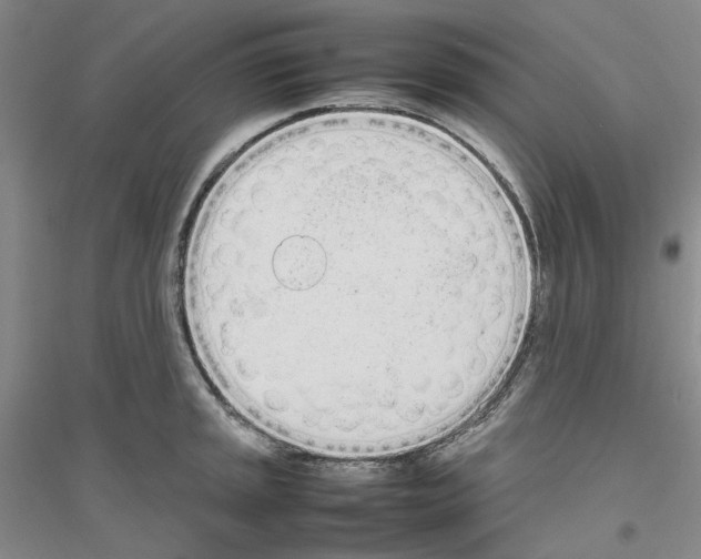 X0000116881045201002021144