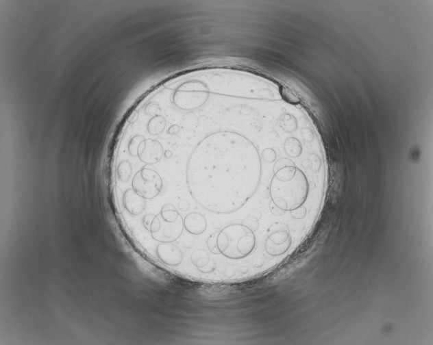 X0000116881046201002021144