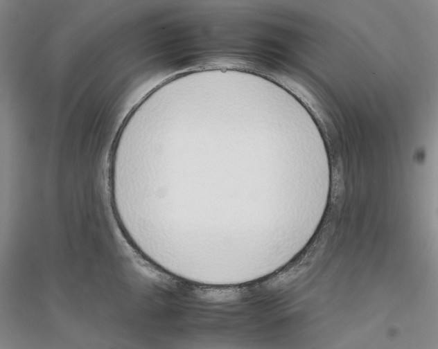 X0000116881047201002021144
