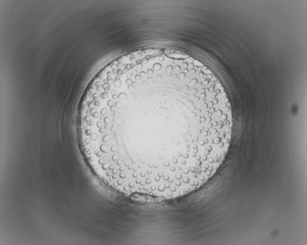 X0000116881050201002021144