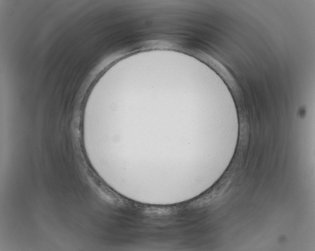 X0000116881051201002021144
