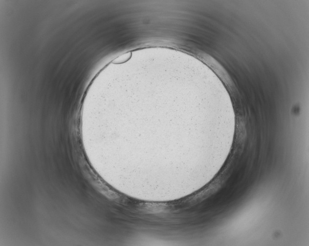X0000116881052201002021144