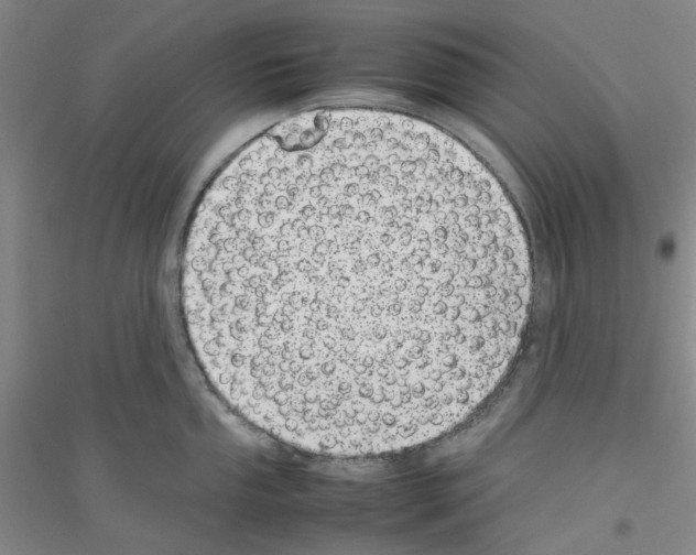 X0000116881053201002021144