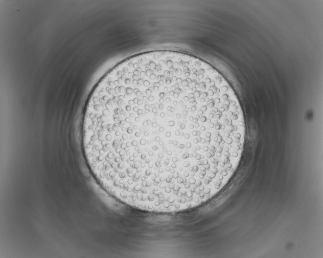 X0000116881054201002021144