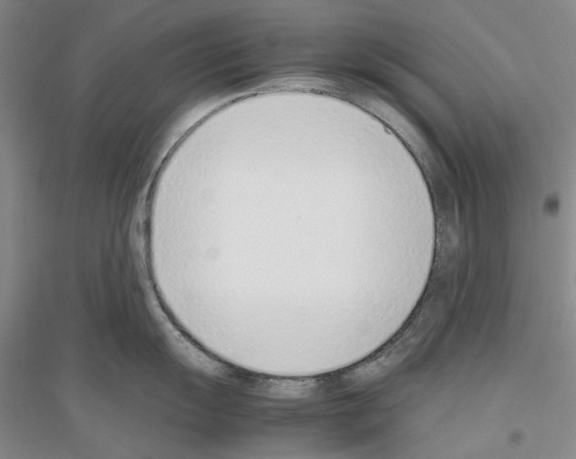 X0000116881055201002021144