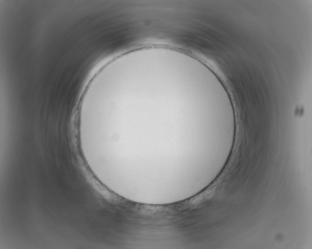 X0000116881056201002021144