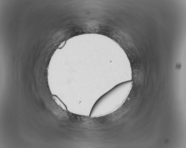X0000116881057201002021143