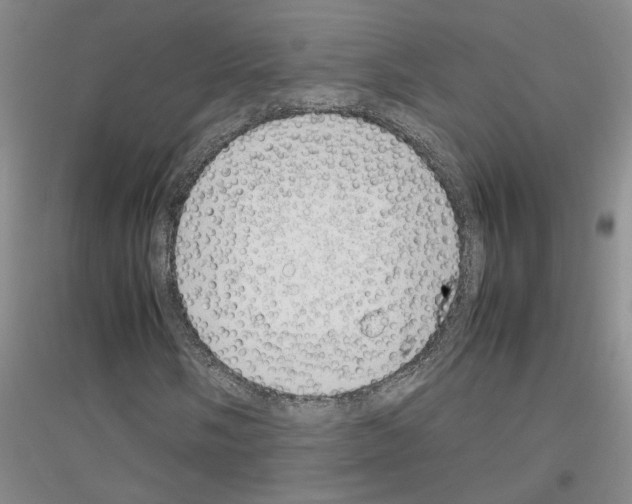 X0000116881058201002021143