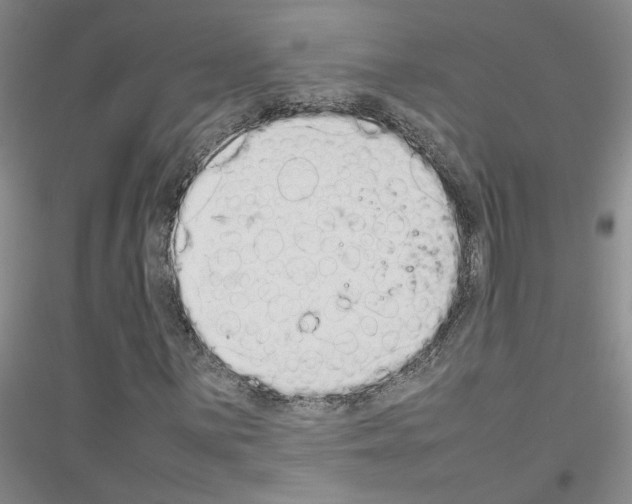 X0000116881059201002021143