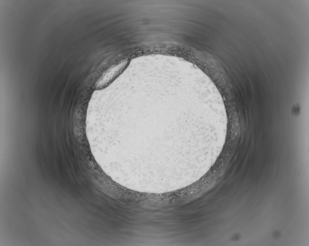 X0000116881060201002021143
