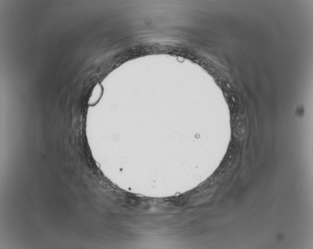 X0000116881061201002021143