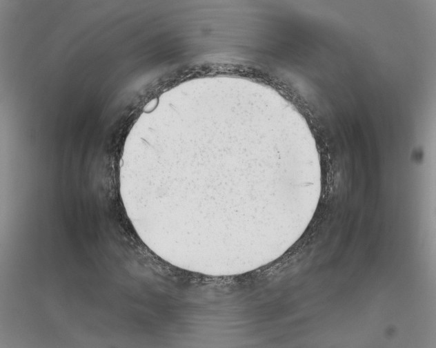 X0000116881062201002021143