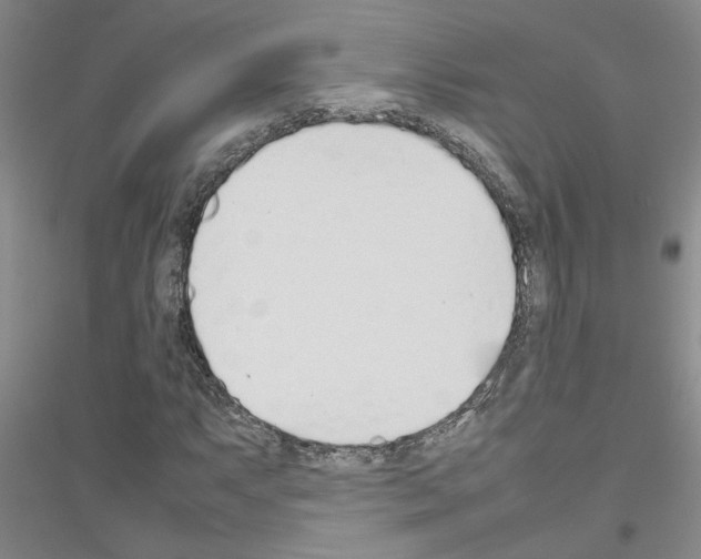 X0000116881063201002021143