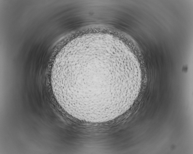 X0000116881064201002021143