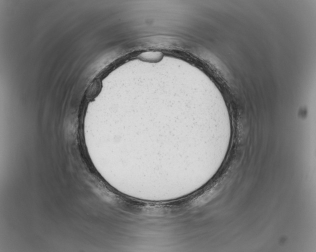 X0000116881065201002021143