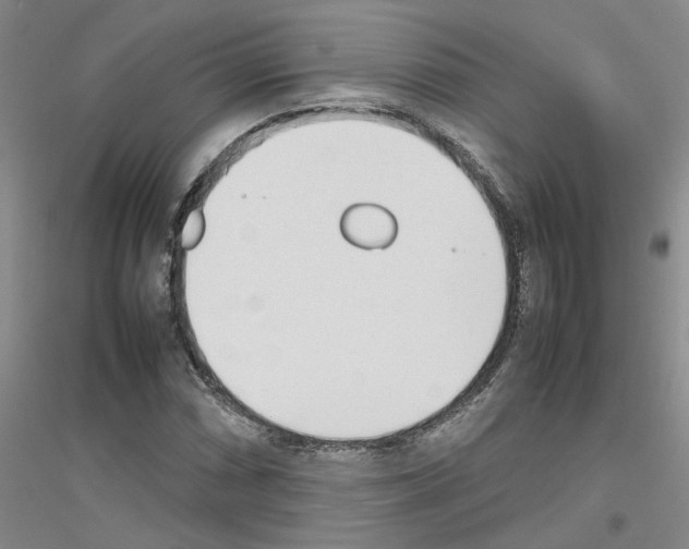 X0000116881066201002021143