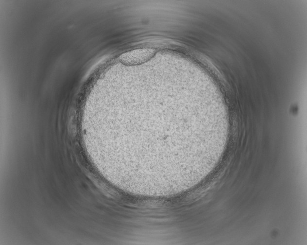 X0000116881067201002021143