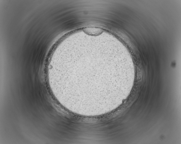 X0000116881068201002021143