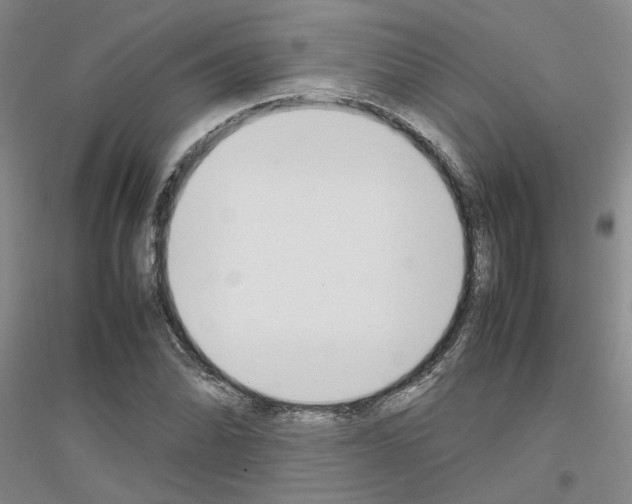 X0000116881070201002021143