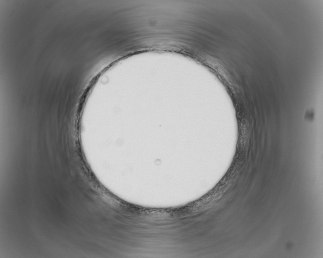 X0000116881071201002021143