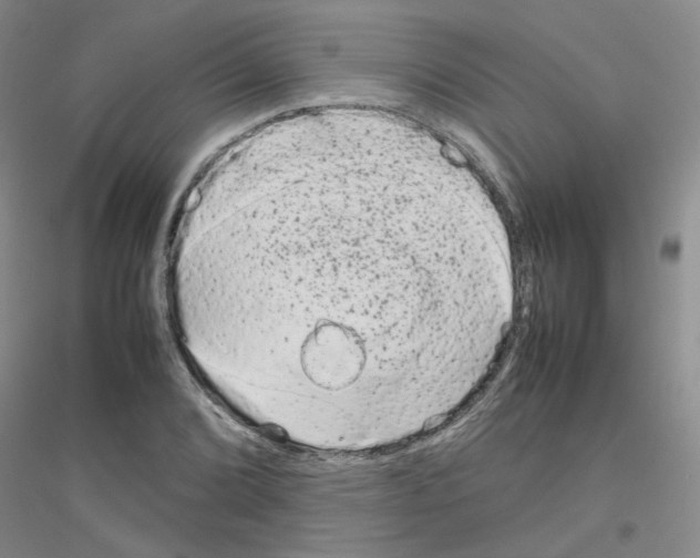 X0000116881072201002021143