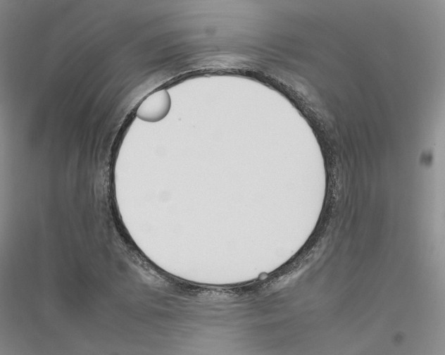X0000116881073201002021143