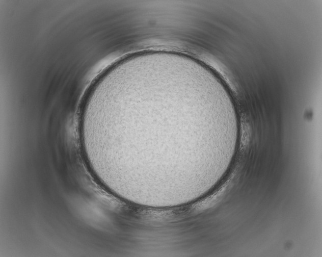 X0000116881074201002021143