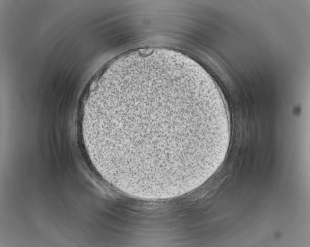 X0000116881076201002021143