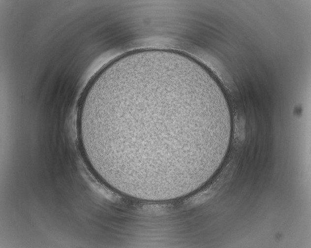 X0000116881078201002021143
