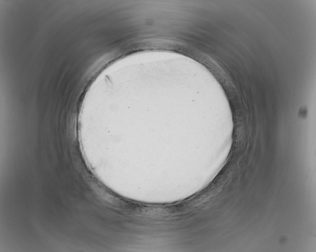 X0000116881079201002021143