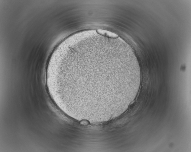 X0000116881080201002021143