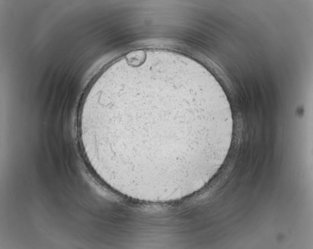 X0000116881082201002021143